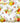 kleines Tablett 31x23 cm, Dekotablett rechteckig mit Wildrosen