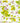 Deko Tablett länglich 47x31 cm, Serviertablett modern mit Druck: Zitronen