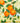 Tablett Deko mit Orangen, praktisches Tablett rechteckig aus Melamin 45x31 cm
