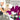 Frottee Küchenhandtücher 50x50 cm 4er Set Violett - Orchidee