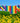 2x Gästehandtücher, kleine Handtücher 30x50 cm Regenbogen