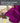Duschtuch - Badetuch 70x140 cm Lila - Orchidee